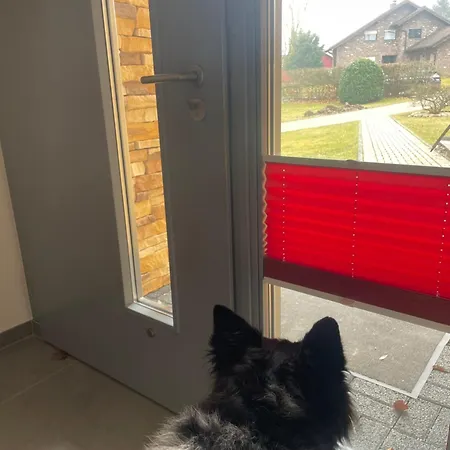 Apartman Wanderstube Am Loens Felsen Simmerath