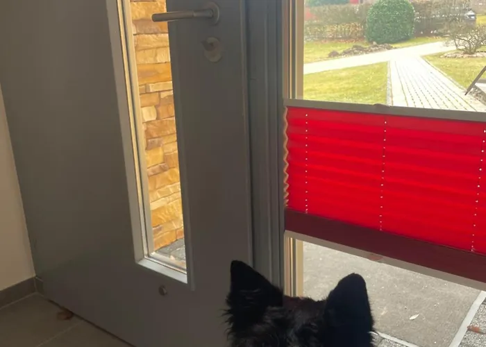 公寓 Wanderstube Am Loens Felsen 锡默拉特