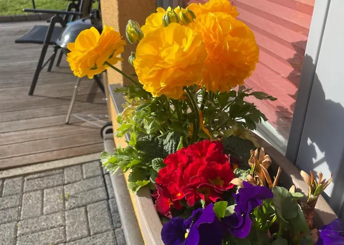 公寓 Wanderstube Am Loens Felsen